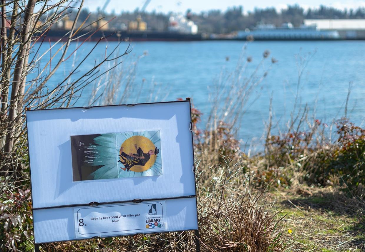 West Bay in Olympia is a scenic backdrop for a former Olympia Timberland Library StoryTrail at West Bay Park that featured a book about bees.